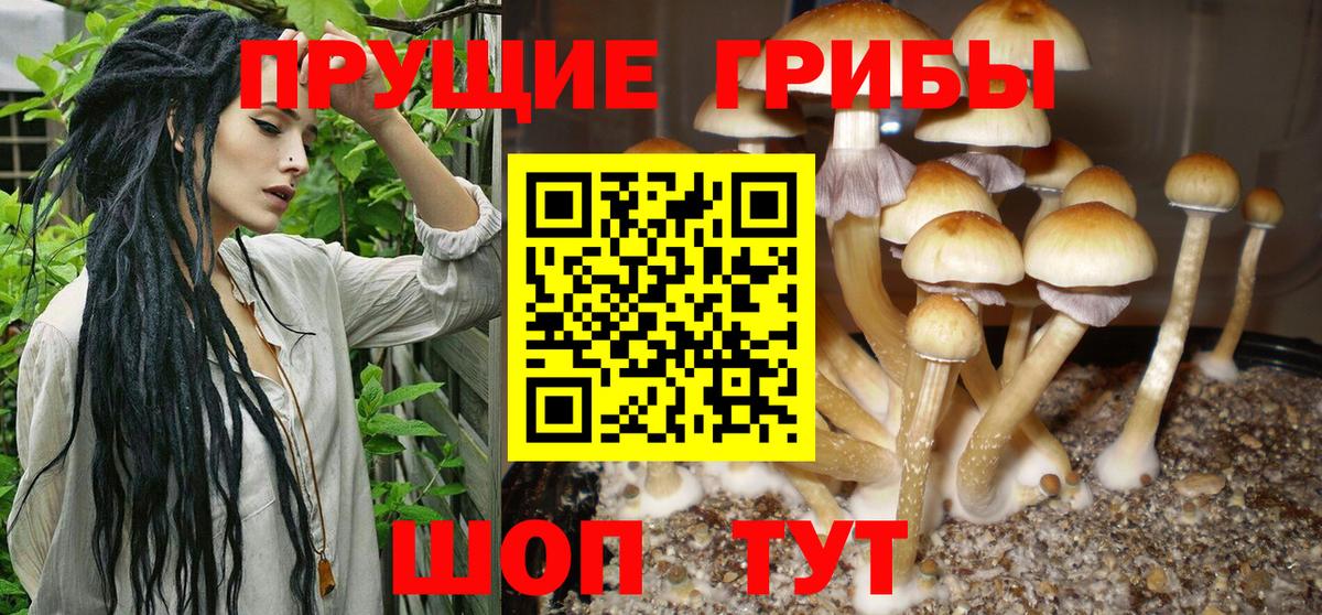 Псилоцибиновые грибы Cubensis  Псилоцибиновые грибы ЛСД  Ачинск  Вход с VPN 